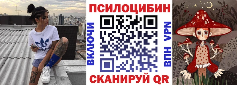даркнет формула  МЕГА как зайти  Мамадыш  Галлюциногенные грибы мицелий 